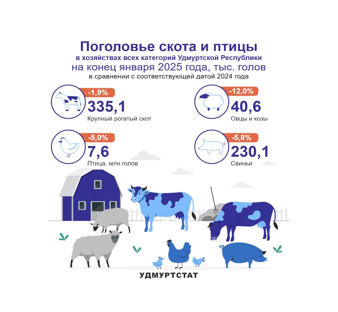 Поголовье скота и птицы на конец января 2025 года.