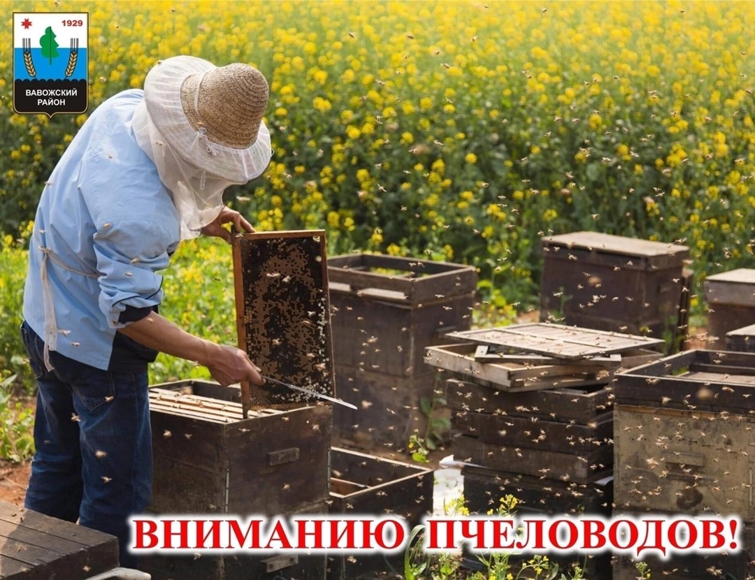 Информация для пчеловодов!.