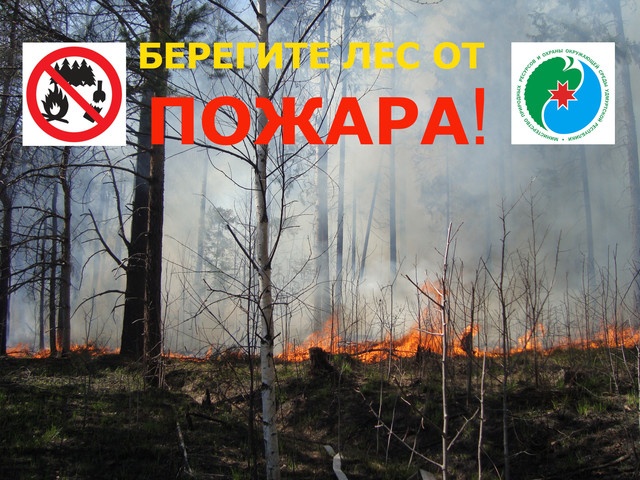 О начале пожароопасного сезона в лесах республики.