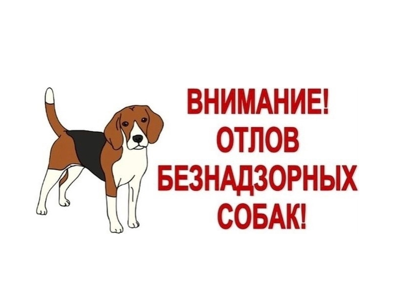 ВНИМАНИЕ!.