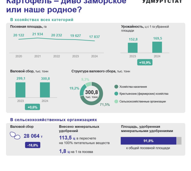 Картофель - диво заморское или наше родное?. Картофель - диво заморское или наше родное?.