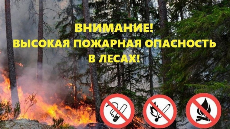 Высокая пожароопасность в лесах!.
