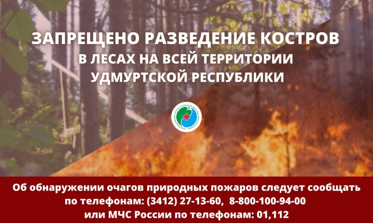 Особый противопожарный режим, обеспечивающий пожарную безопасность в лесах установлен в республике.